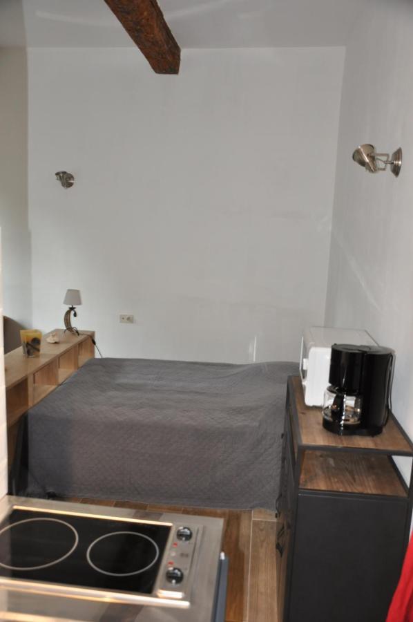 Location Studio Meuble Avec Jardin 索尔格 外观 照片
