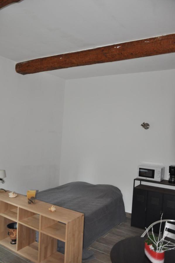 Location Studio Meuble Avec Jardin 索尔格 外观 照片